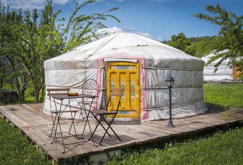 Standard Tent, Società Agricola Cacigolara