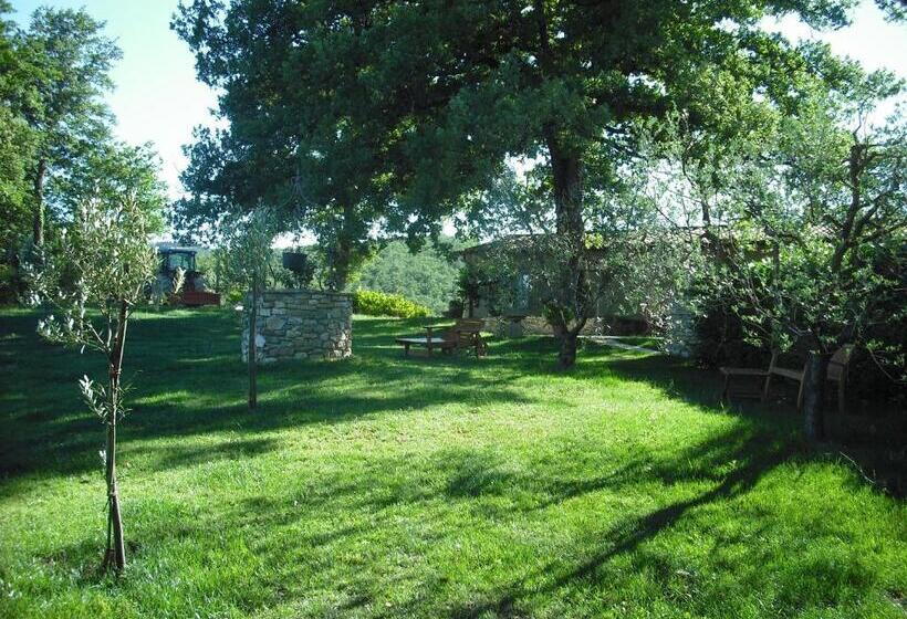 Апартаменты 2 Спальни, Agriturismo La Scarpaia