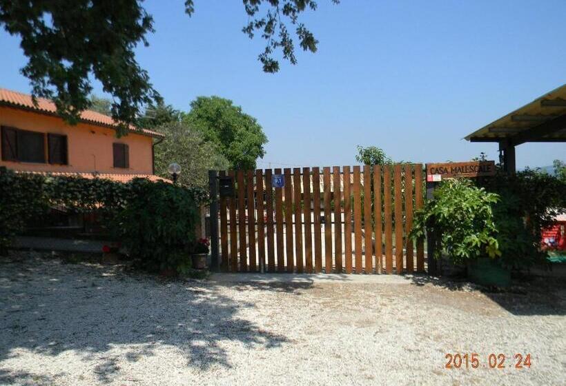Апартаменты 1 Спальня, Casa Vacanza Malescale