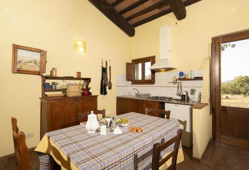 Апартаменты 1 Спальня Нижний Этаж, Agriturismo Fattoria Di Statiano