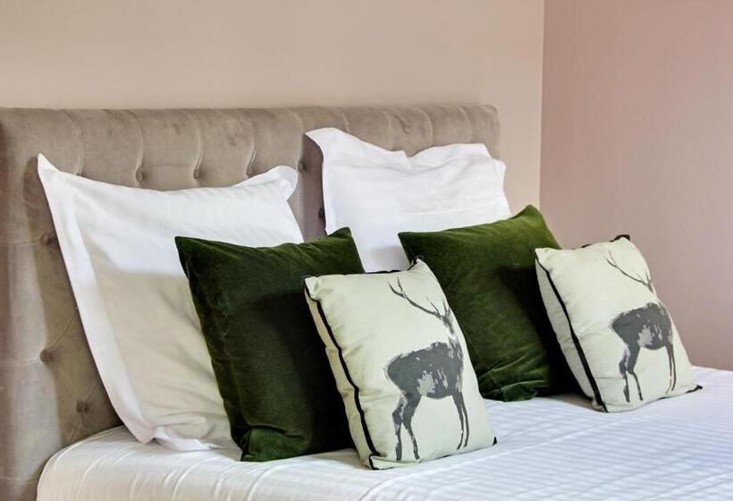 Estudio Estándar, Short Stay Group Museum View Serviced Apartments