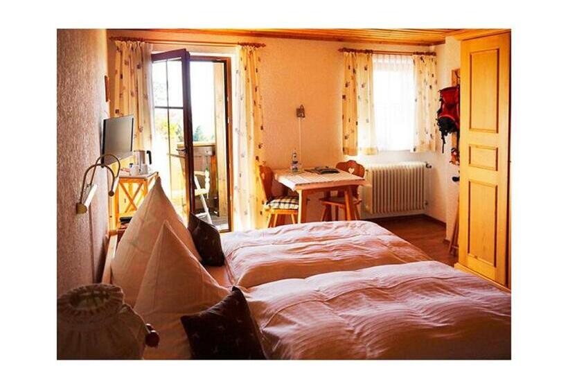Номер Стандарт, Pension Draxlerhof