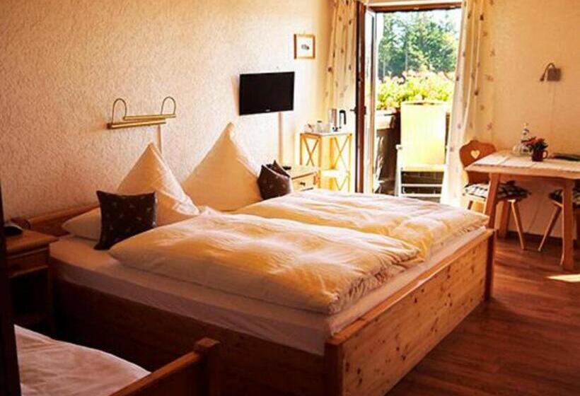 Номер Стандарт с Балконом, Pension Draxlerhof
