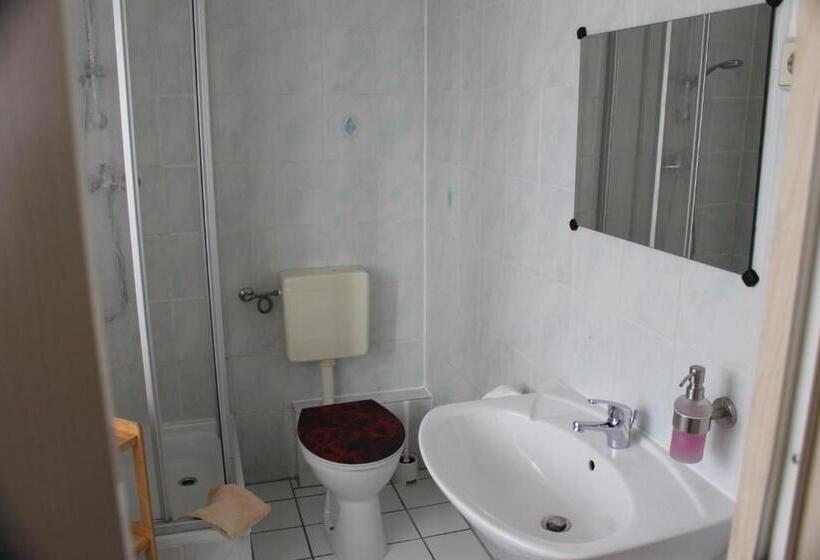 스탠다드 룸, Gasthof & Pension Zum Saalestrand