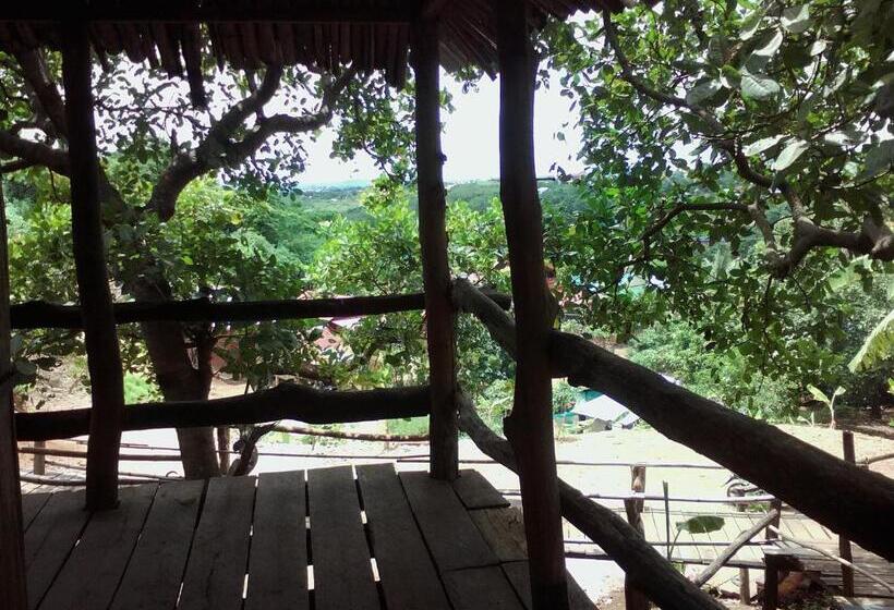 标准间, Tree Lodge Banlung