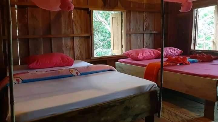 标准间带山景, Tree Lodge Banlung