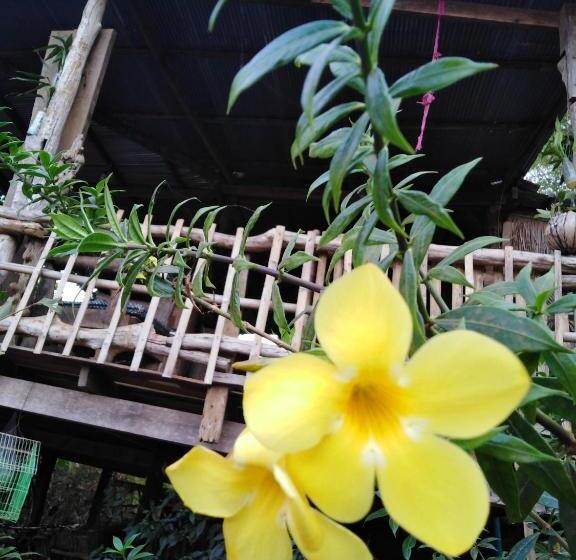 标准间带山景, Tree Lodge Banlung