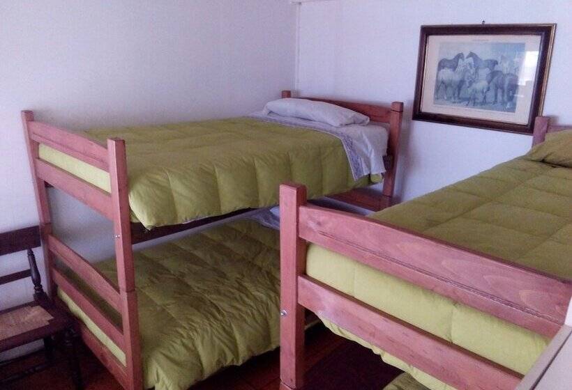 4인용 스탠다드 룸, Hostel Del Prado