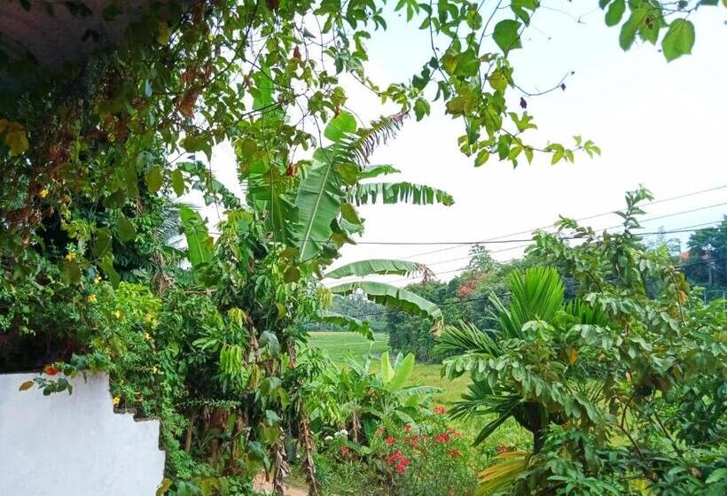 اتاق استاندارد با بالکن, Green View Guest