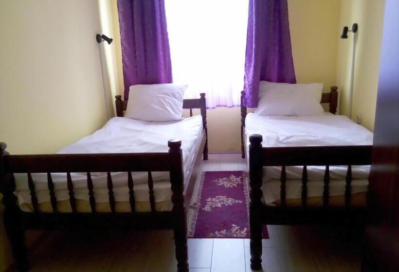 اتاق استاندارد با سرویس بهداشتی مشترک, Villa Vlasta