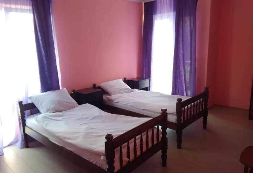 اتاق استاندارد سه تخته با سرویس بهداشتی مشترک, Villa Vlasta