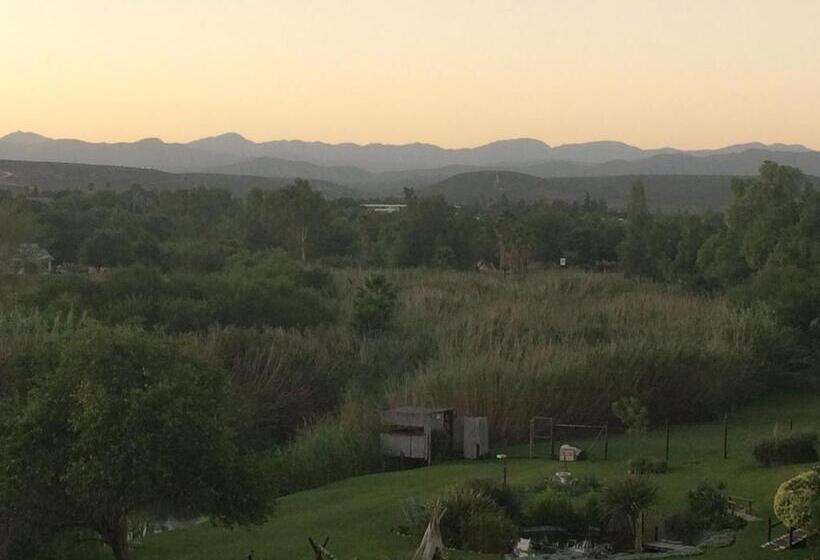 Номер Стандарт с Балконом, Oewerpalms View