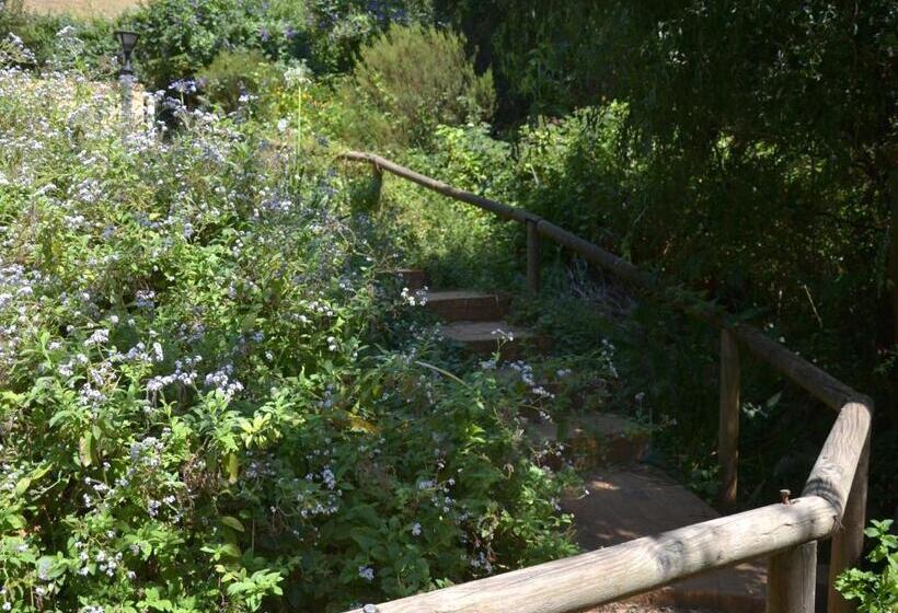 Номер Стандарт Вид на Горы, Glasshouse In The Winelands
