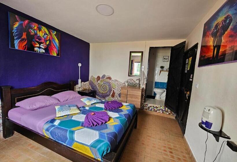 اتاق استاندارد, Hostal Bambu