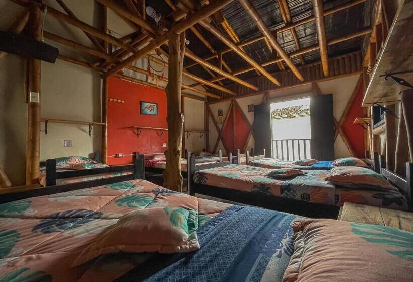 تختخواب در اتاق مشترک, Hostal Bambu