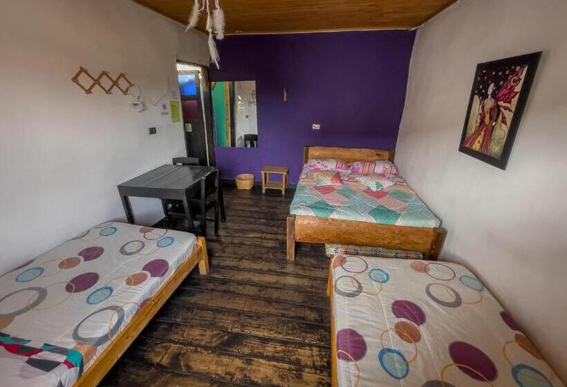 اتاق استاندارد چهارنفره با سرویس بهداشتی مشترک, Hostal Bambu