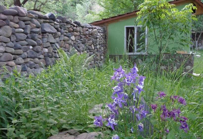 Номер Economy, Eco Garden