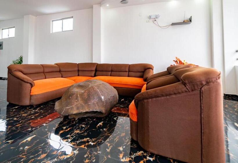 Четырехместный Номер Стандарт, Patty House Galapagos