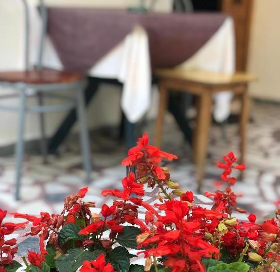 آپارتمان 1 خوابه با چشم‌انداز دریا, Guest House Plima 2