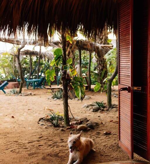 スタンダードルーム, Bambú Ecocabañas