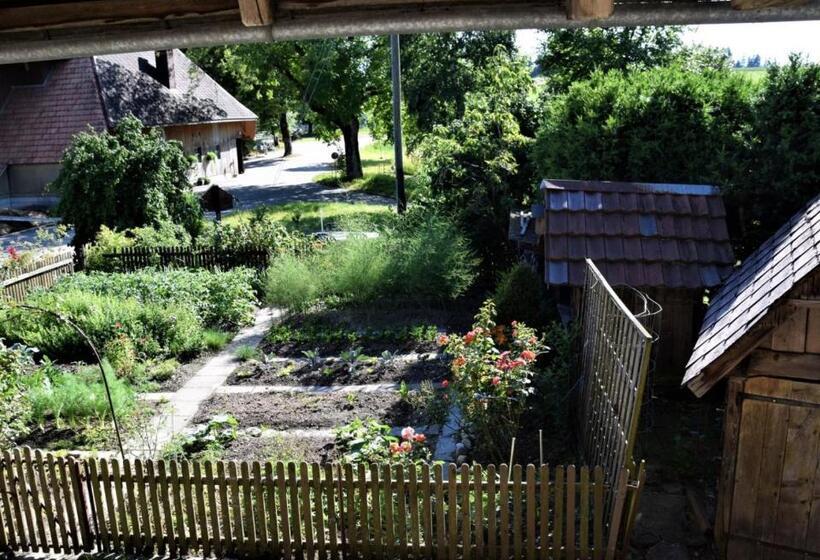 Номер Стандарт Четырехместный Совместный Санузел, Bühl 3