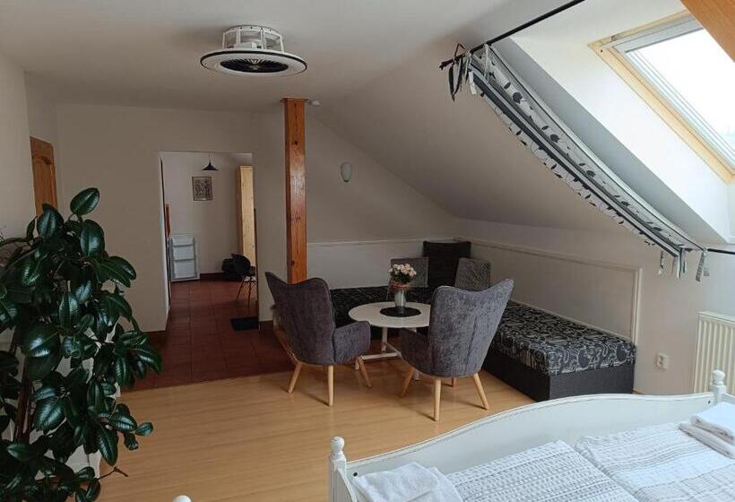 Apartament 1 Sypialnia, Penzion V Podzámčí Litomyšl