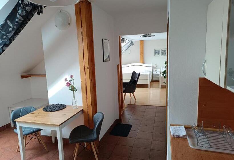 Apartament 1 Sypialnia, Penzion V Podzámčí Litomyšl