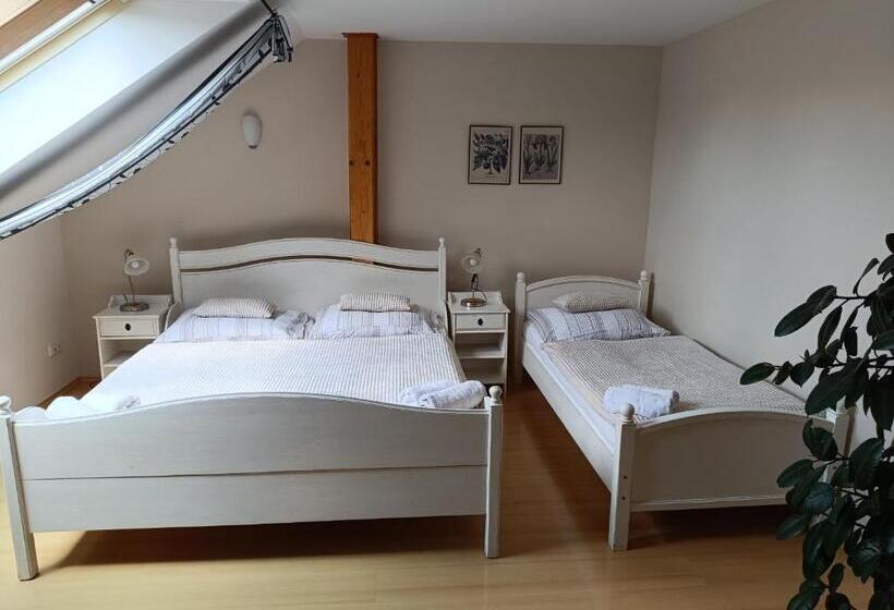 Apartament 1 Sypialnia, Penzion V Podzámčí Litomyšl