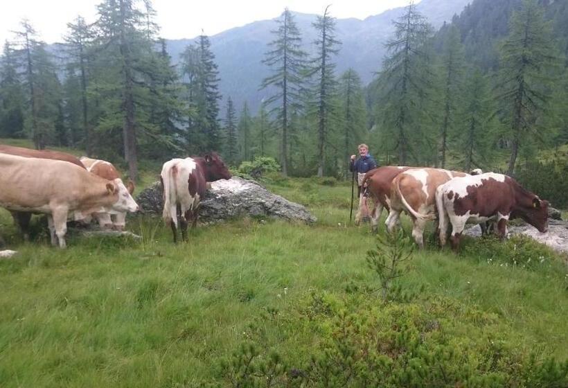 Номер Стандарт с Балконом, Pension Greimelbacherhof