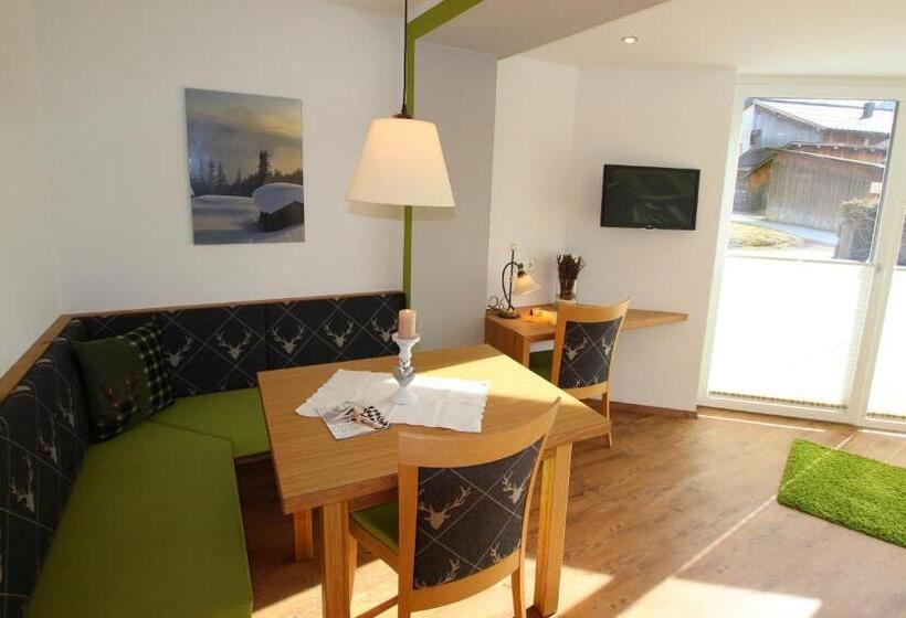 Апартаменты 1 Спальня, Appartementhotel Zugspitzhof