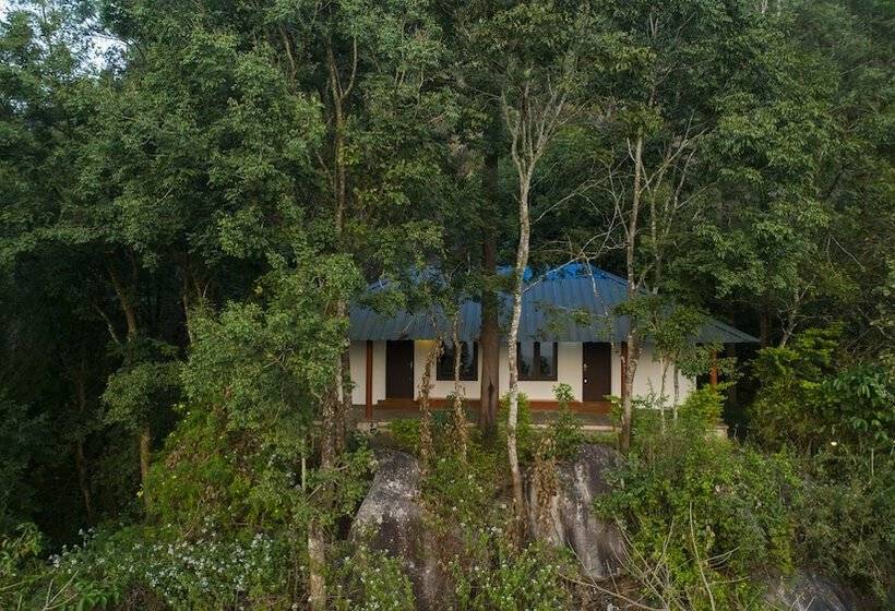 Номер Стандарт Двуспальная Кровать Адаптированный для Инвалидов, Edakkal Hermitage