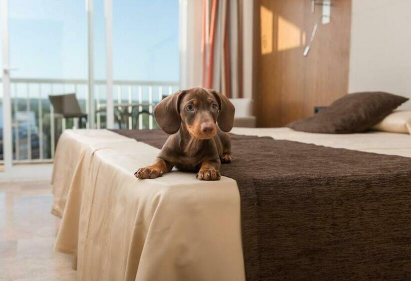 Standard-huone Parveke, Torre Azul & Spa  Adults Only