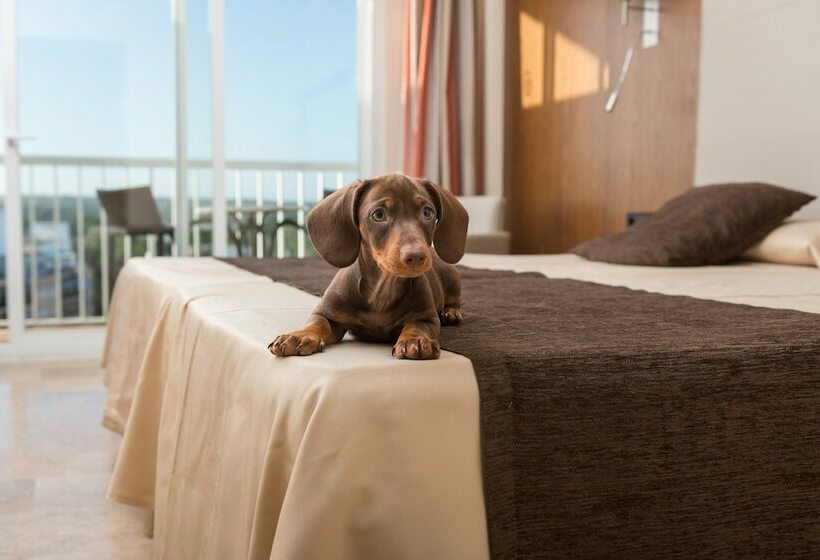 Standard-huone Parveke, Torre Azul & Spa  Adults Only