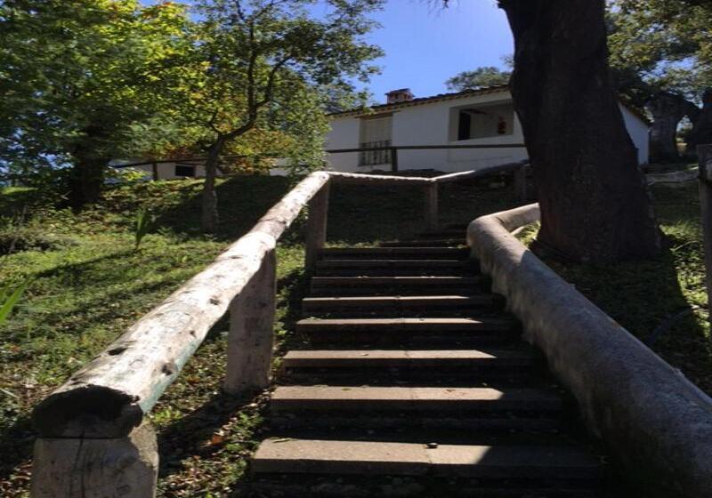 １ベッドルームアパートメント, Finca Valbono Apartamentos Rurales Y
