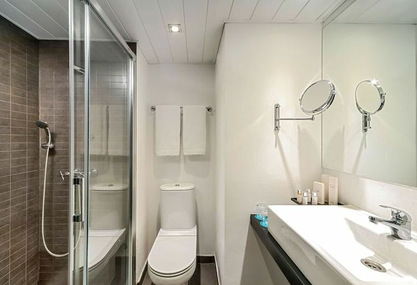 Номер Стандарт, Occidental Santa Cruz Contemporaneo