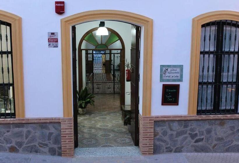 Номер Стандарт, Entreolivos