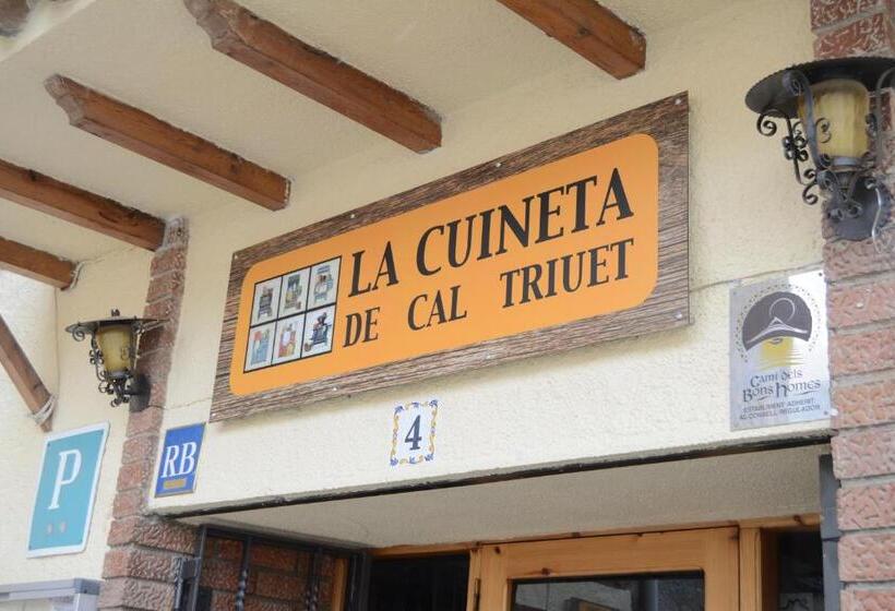 Номер Стандарт Индивидуальный, Hostal La Cuineta De Cal Triuet