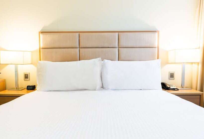 스탠다드 룸, Holiday Inn Parramatta, An Ihg
