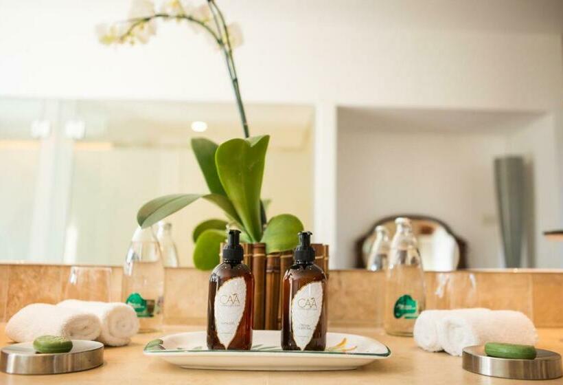 Королевский Люкс, Gran Melia Iguazu