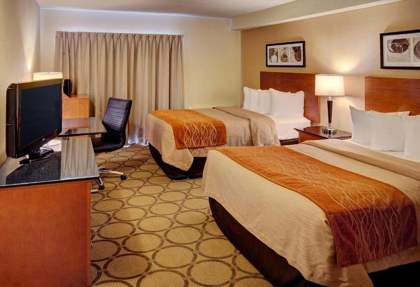 חדר סטנדרט, קומת קרקע, Comfort Inn