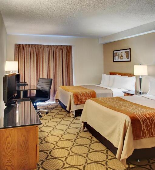 Стандартный Номер Нижний Этаж, Comfort Inn