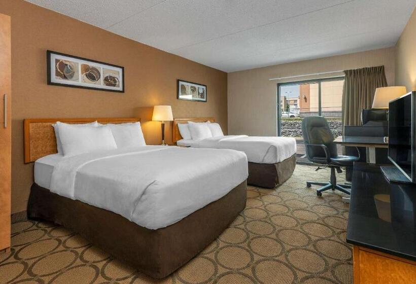 一楼标准间, Comfort Inn
