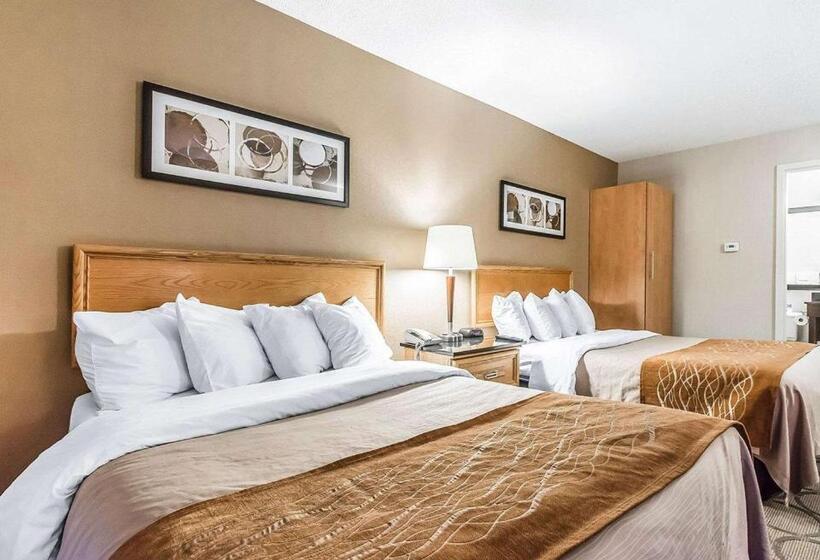 חדר דלוקס, Comfort Inn