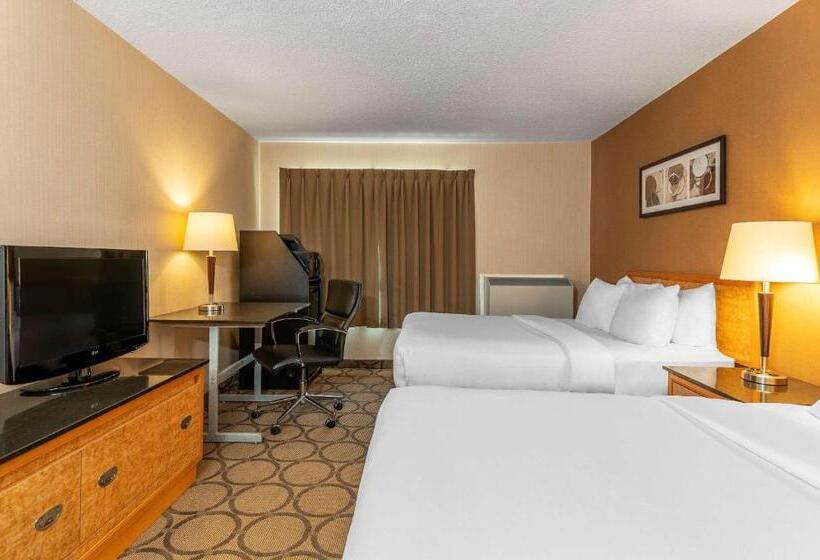Номер Стандарт, Comfort Inn