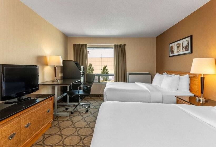 一楼标准间, Comfort Inn