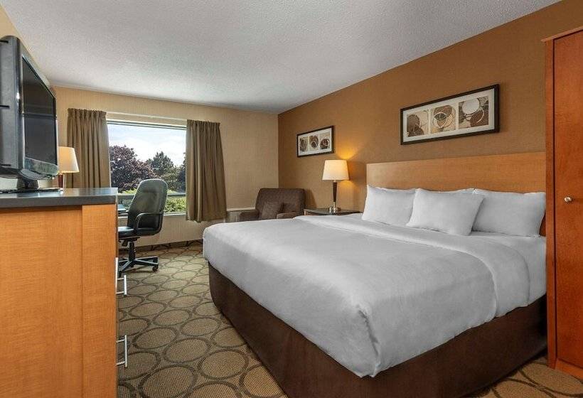 一楼标准间, Comfort Inn