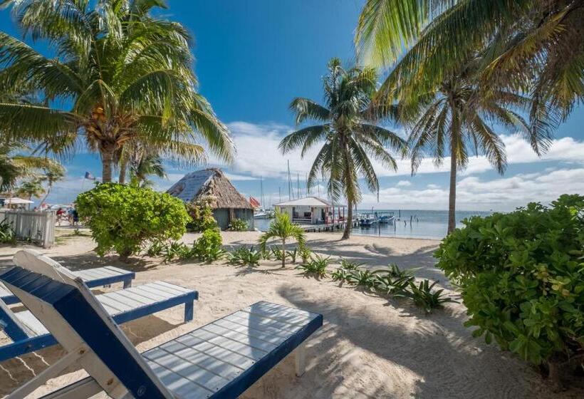 Полулюкс Повышенной Комфортности, Holiday