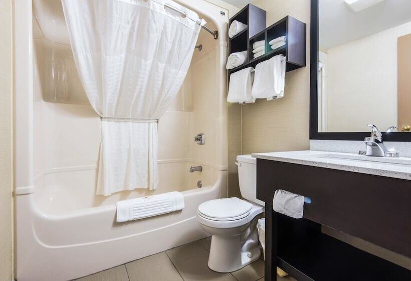 舒适型房间, Comfort Inn