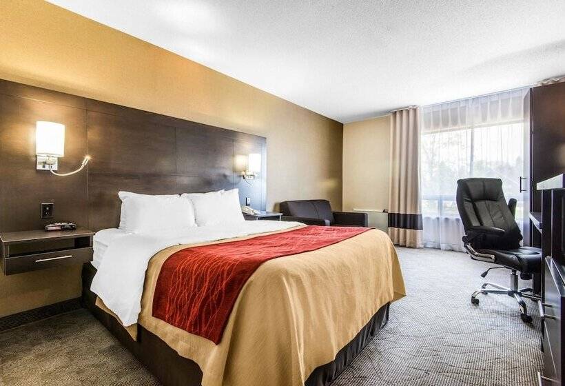 舒适型房间, Comfort Inn
