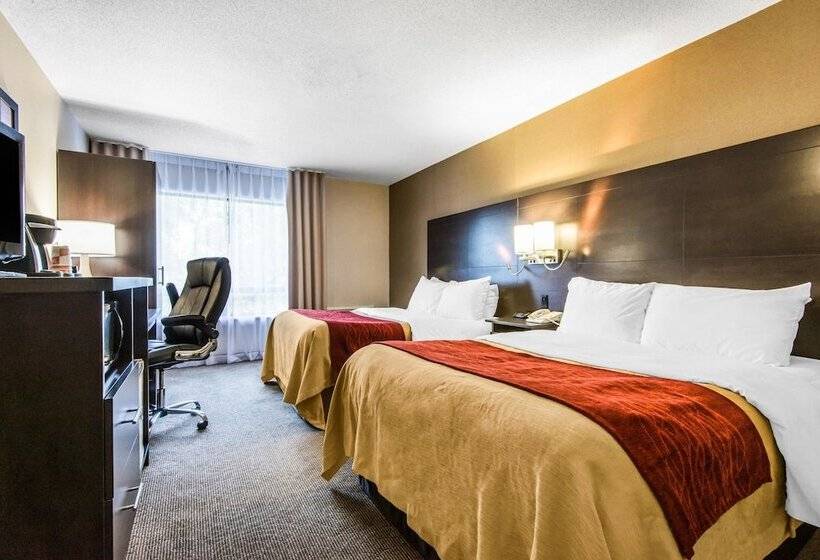 带2个双人床的标准工作室, Comfort Inn